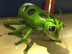 -上海昆虫博物馆