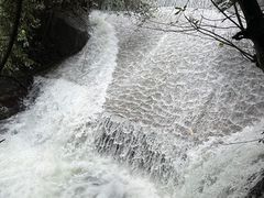 -鼎湖山风景区