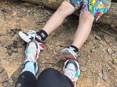 -黄埔油麻山森林公园