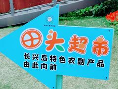 -上海长兴岛郊野公园