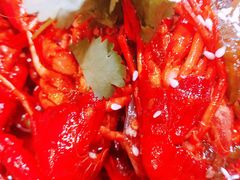 -虾弄弄海派小龙虾·牛羊蝎子火锅