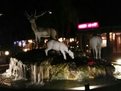 -清迈夜间动物园