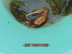 -奉贤海滩