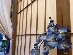 -诚家·日式烧鸟·深夜食堂(虹桥天街店)