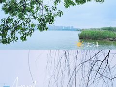 -艾溪湖湿地公园
