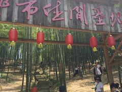 -宁波浙东大竹海景区