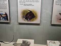 -辽宁古生物博物馆