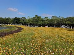 -海珠湖公园