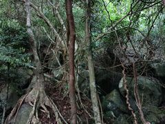 -七仙岭温泉国家森林公园