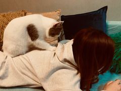 -猫大福·Fortune Cat猫舍(百子湾店)