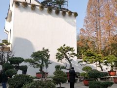-龙华寺