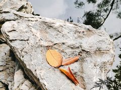 -梁园