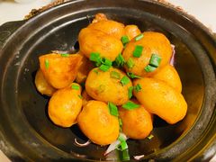 -初蓉丨遇见新川菜(亲贤街荣耀店)
