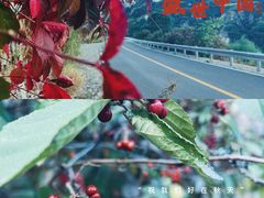 -云蒙山风景区