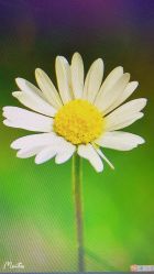 -Oasis Beauty水磨坊科技美肤中心