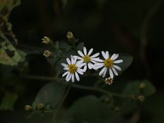 20141006112522_IMG_2735-团城山公园