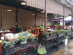 -先机泉水鸡汤(南山老君洞店)