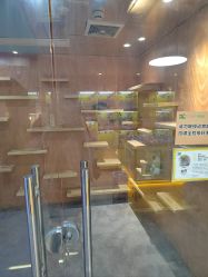 点击看大图 -神奇动物撸宠馆·羊驼·小浣熊·异宠(豫园店)