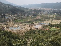 -樱桃山旅游景区