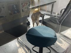 -帝京日语(春熙路旗舰校区)