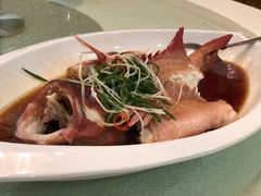 -新加坡泰园村酒楼直营(新华路店)