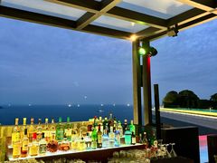 -瑰丽酒店·海吧·天际下午茶·现场DJ·天台酒吧