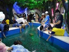 -石林冰雪海洋世界