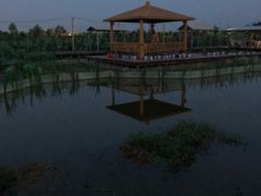 -同銮特种养殖场·龙虾垂钓