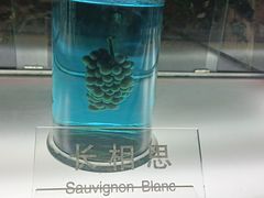 -青岛葡萄酒博物馆
