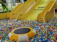 -南宫五洲植物乐园