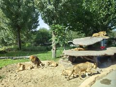 -北京野生动物园