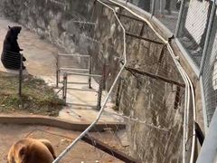 -无锡动物园·太湖欢乐园