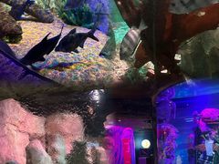 -沈阳海洋探索中心