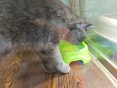 -乐宠宠物店(世纪金源店)