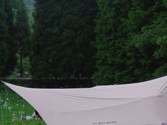 -武陵山森林公园