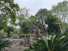 -柳侯公园