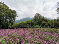 -广州市流溪河国家森林公园