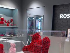 -ROSEONLY诺誓(国际广场购物中心店)