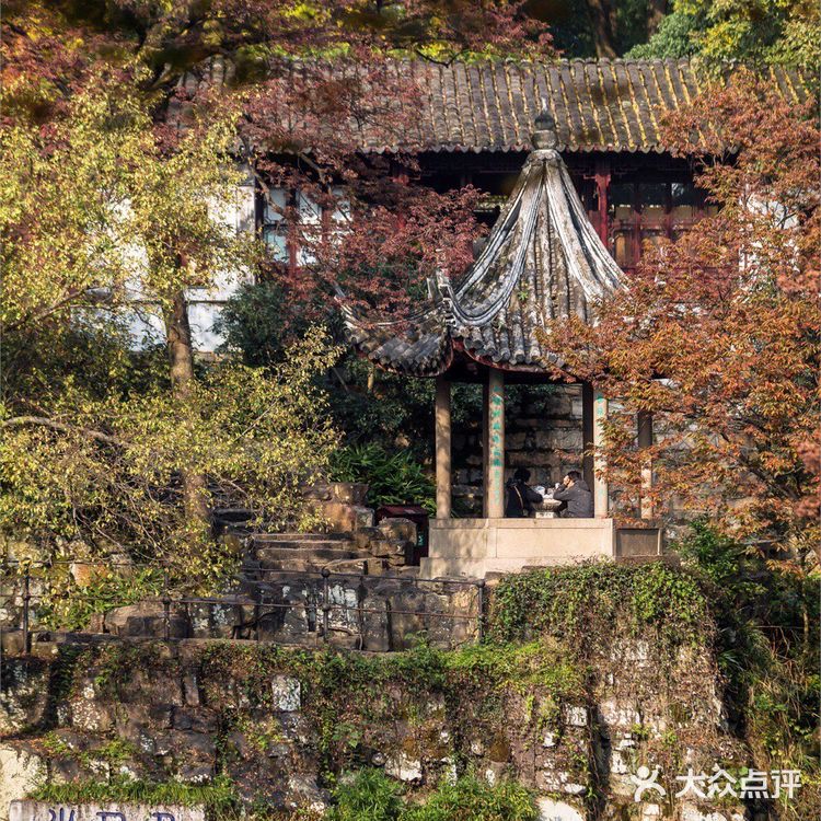 苏州赏秋 🍂本地人推荐(实地打卡分享)