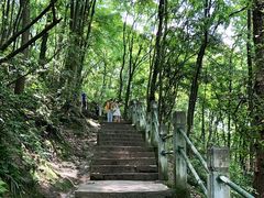 -黔灵山公园