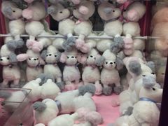 -小象猛犸(炫地购物中心店)