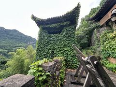 -三峡人家风景区