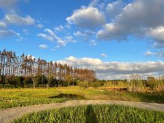 -上海长兴岛郊野公园