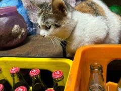 -老丘丘(较场口店)