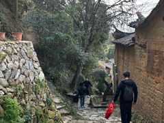 -杨家堂村