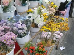 -大学城夜市大排档(凤栖路店)