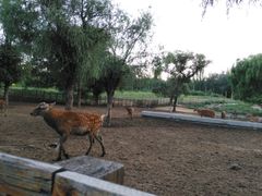 -赛汗塔拉风情园