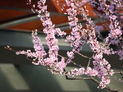 -静安雕塑公园