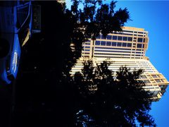 -拉斯维加斯永利酒店