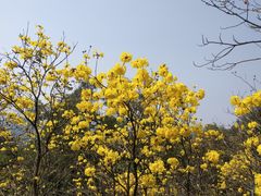 -广州市白云山风景名胜区